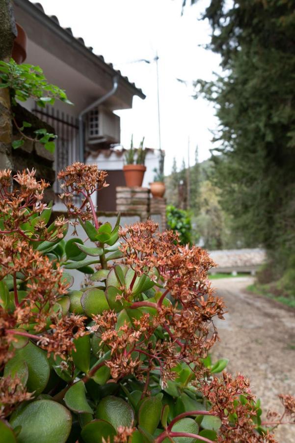 Feel Nature En La Casa De La Desconexion Benamahoma Dış mekan fotoğraf